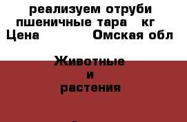 реализуем отруби пшеничные тара 25кг › Цена ­ 4 800 - Омская обл. Животные и растения » Аксесcуары и товары для животных   